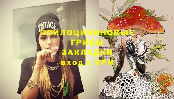 mix Алексин